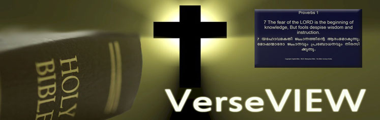 VerseVIEW