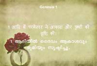 Hindi / Malayalam